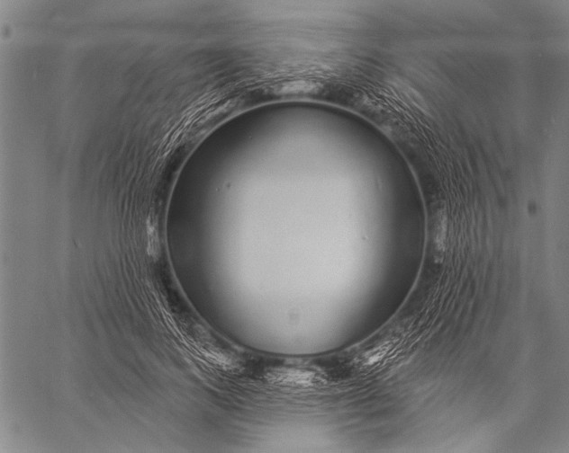 X0000057090743200509301550