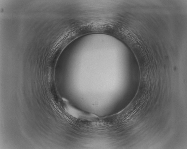 X0000057090744200509301550