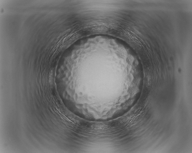 X0000057090745200509301550