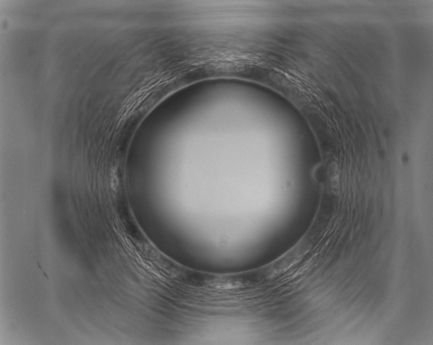 X0000057090746200509301550