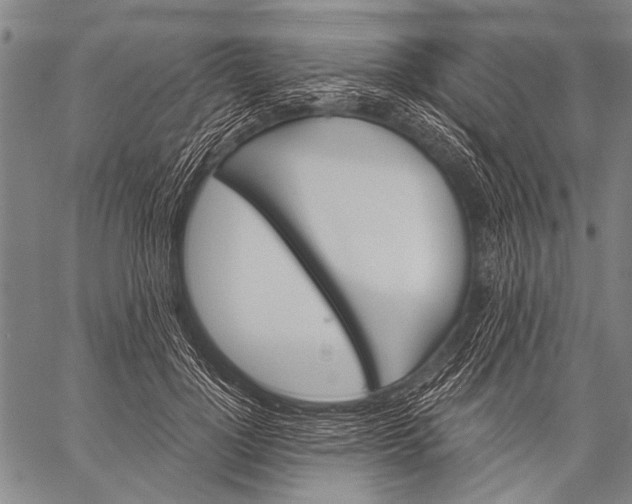 X0000057090748200509301550