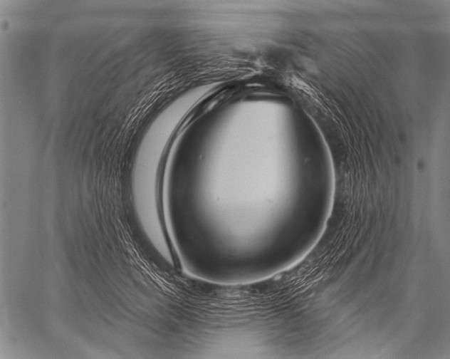 X0000057090750200509301550