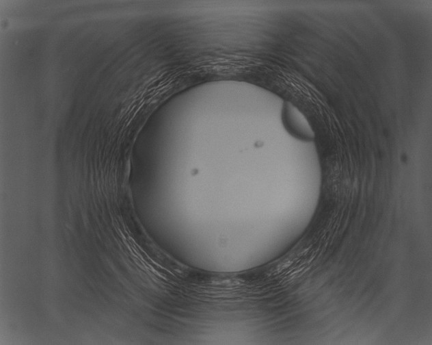 X0000057090752200509301550