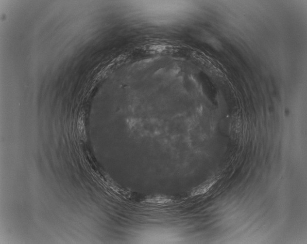 X0000057090754200509301550