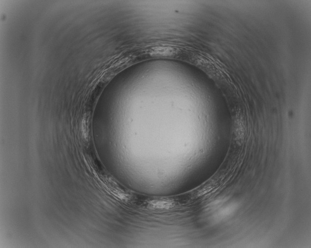 X0000057090755200509301550