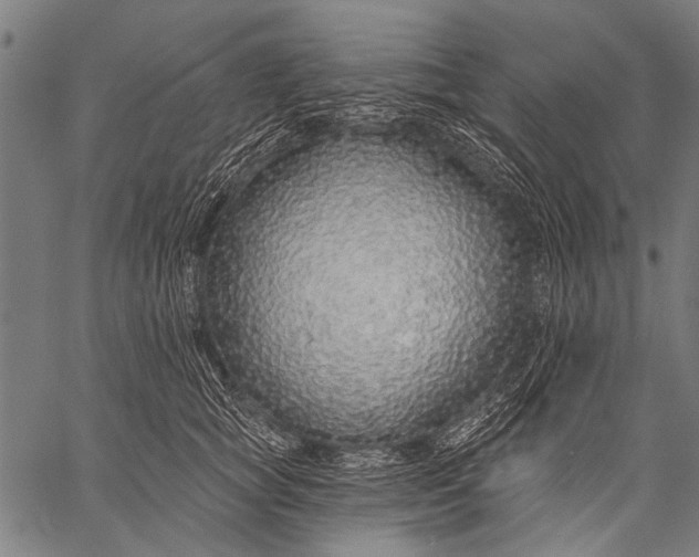 X0000057090757200509301551