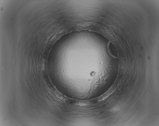 X0000057090758200509301551