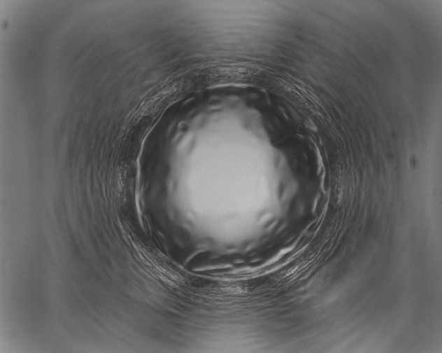 X0000057090759200509301551