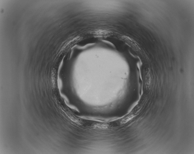 X0000057090762200509301551