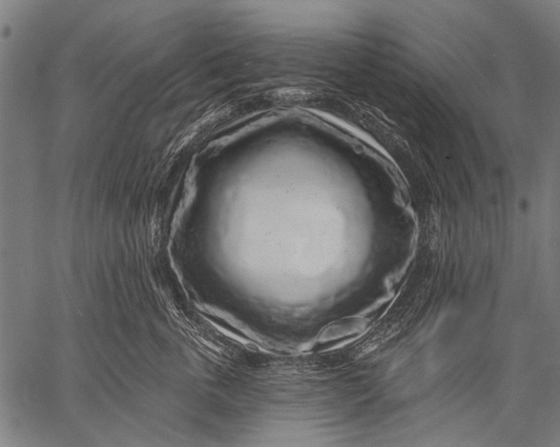 X0000057090763200509301551