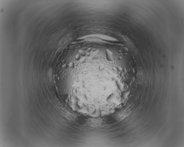 X0000057090765200509301551