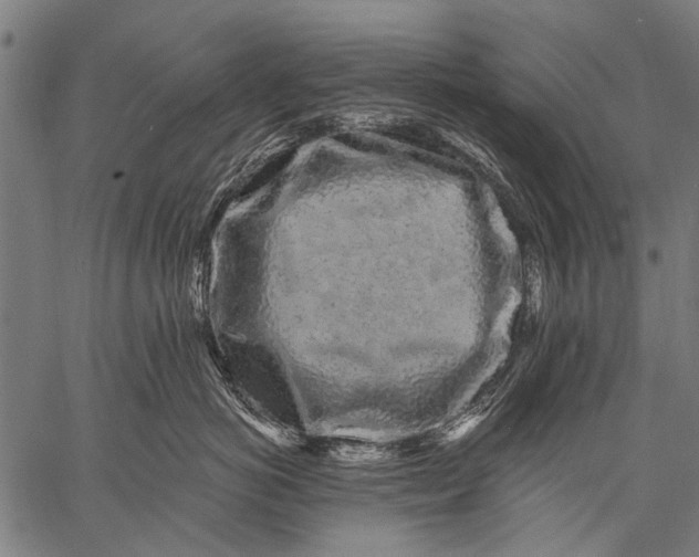 X0000057090766200509301551