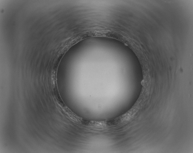 X0000057090768200509301551