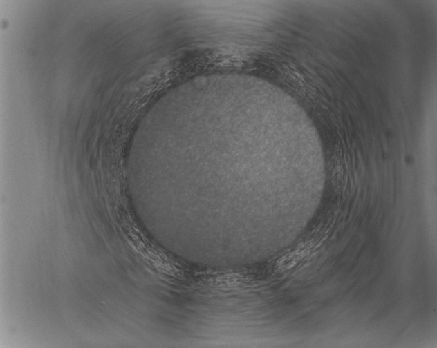 X0000057090769200509301550