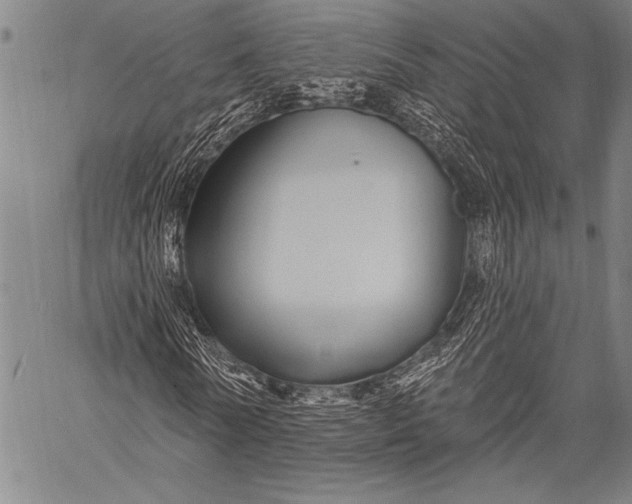 X0000057090770200509301550