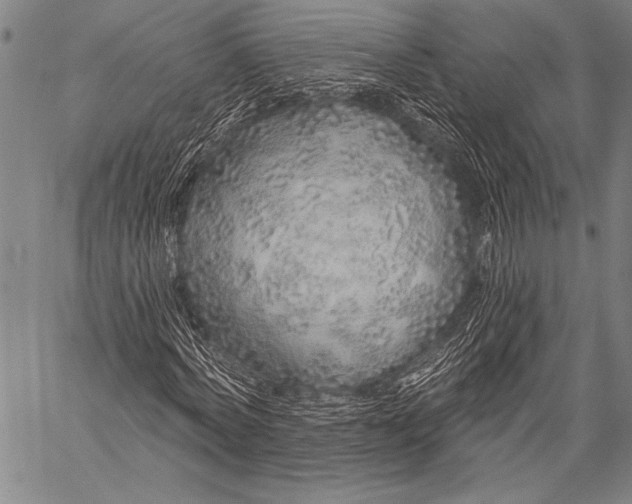 X0000057090772200509301550