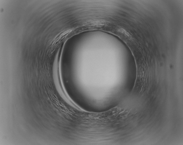 X0000057090773200509301550