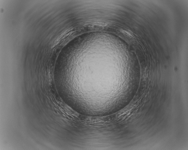 X0000057090774200509301550