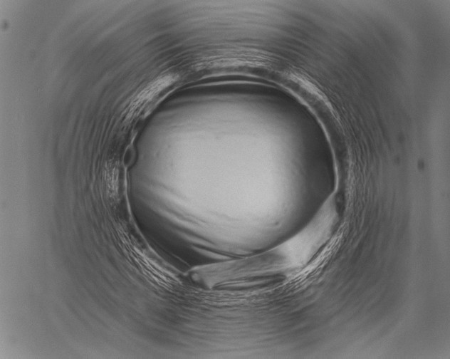 X0000057090777200509301550