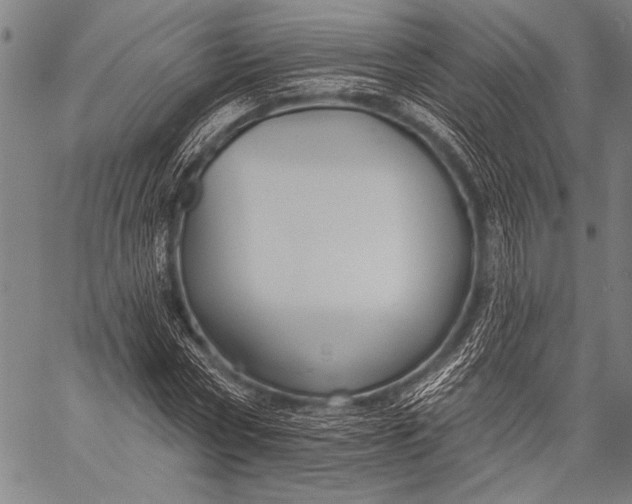 X0000057090778200509301550