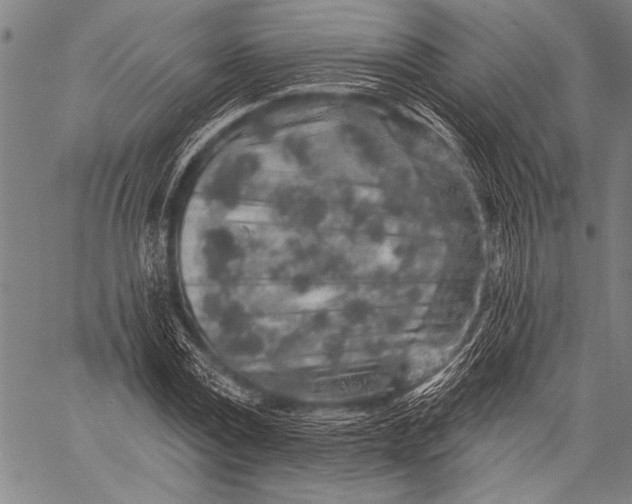 X0000057090779200509301550