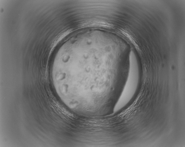 X0000057090780200509301550