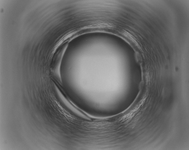 X0000057090781200509301550