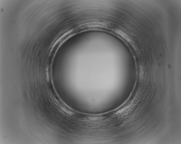 X0000057090782200509301550