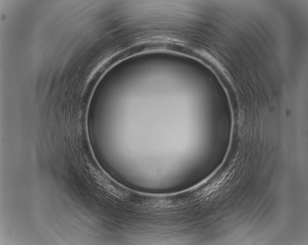 X0000057090783200509301550