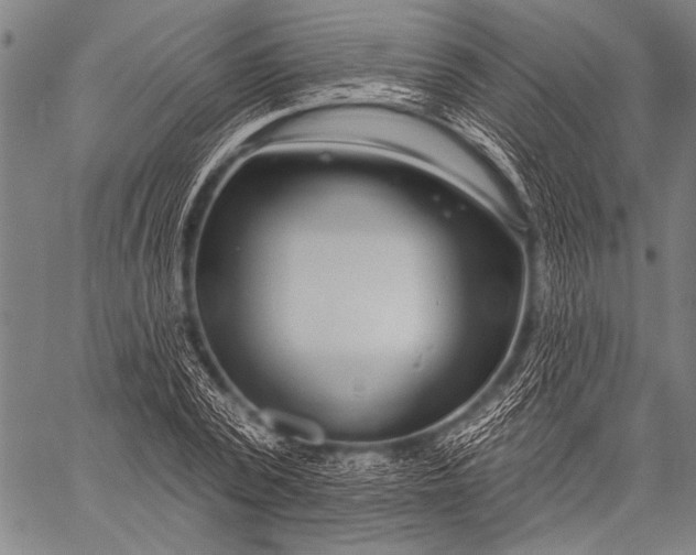 X0000057090784200509301550