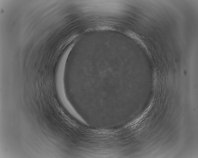 X0000057090785200509301550