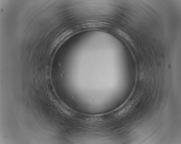 X0000057090786200509301550