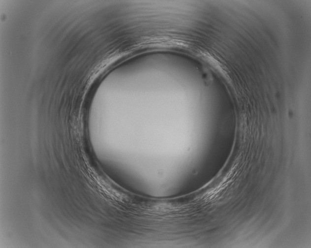 X0000057090787200509301550