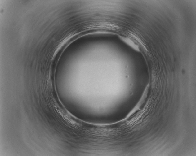 X0000057090788200509301550