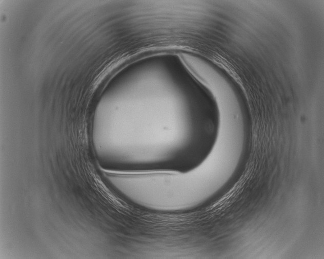 X0000057090789200509301550