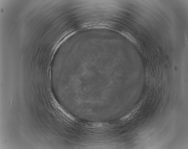 X0000057090790200509301550