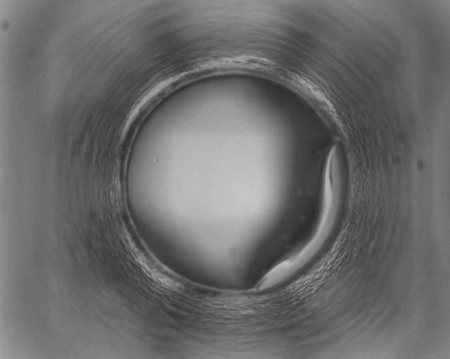 X0000057090792200509301549