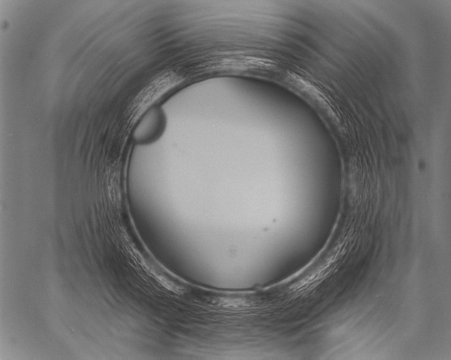 X0000057090794200509301549