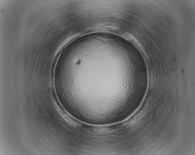 X0000057090795200509301549