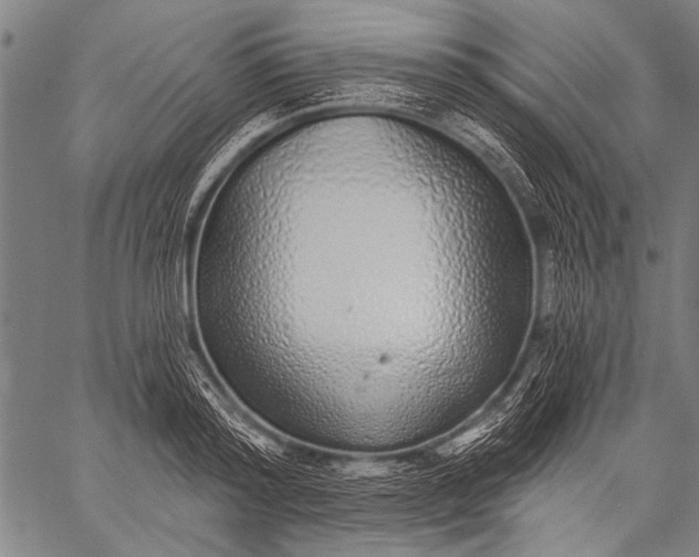 X0000057090796200509301549