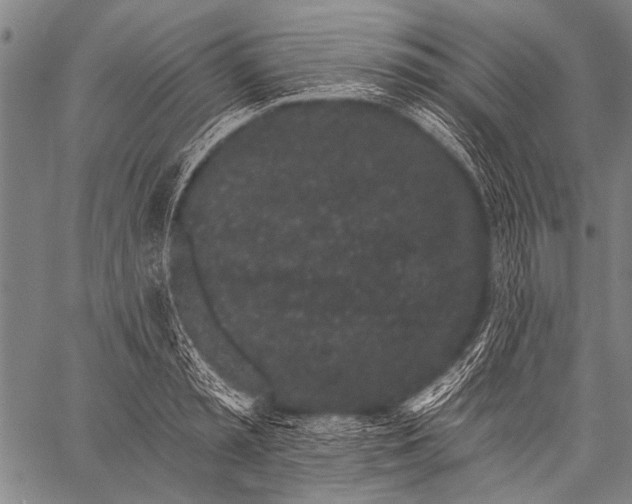 X0000057090797200509301549