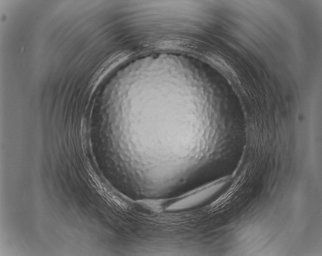 X0000057090798200509301549