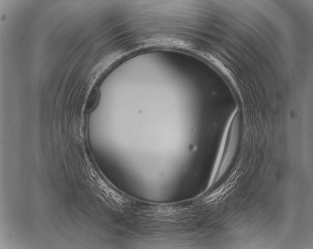 X0000057090799200509301549