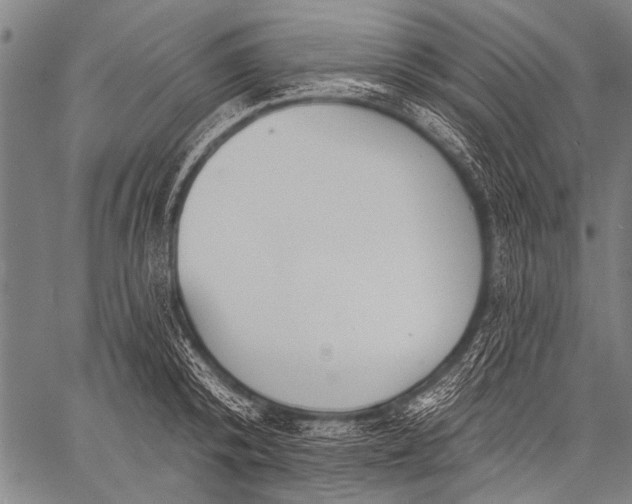 X0000057090800200509301549