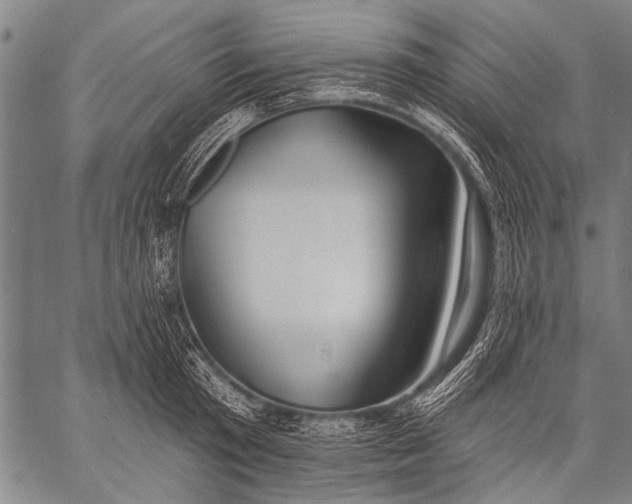 X0000057090801200509301549