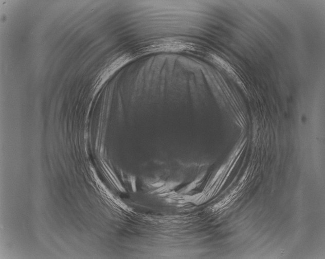 X0000057090802200509301549