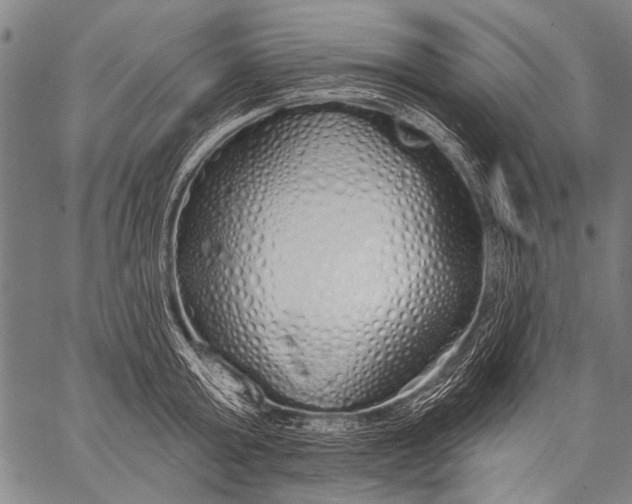 X0000057090803200509301549