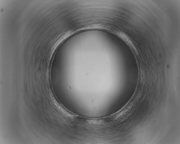 X0000057090805200509301549