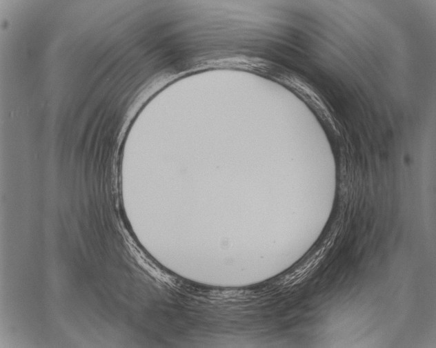 X0000057090808200509301549