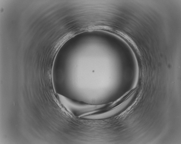 X0000057090809200509301549